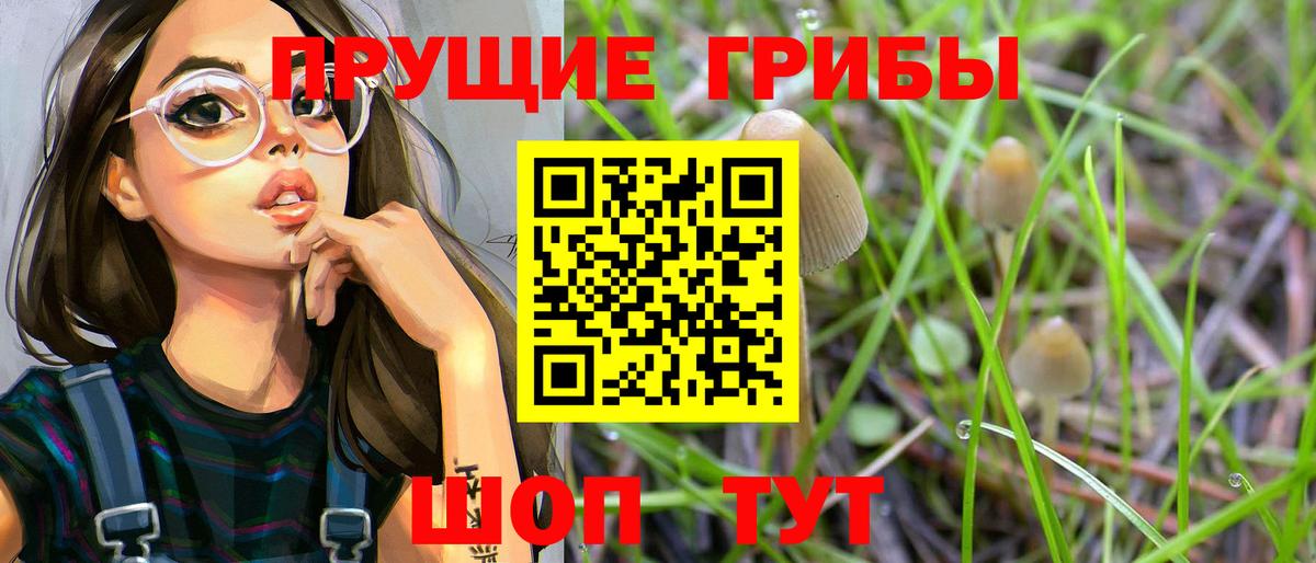 Батайск  Псилоцибиновые грибы мицелий  Галлюциногенные грибы Psilocybe  Вход с VPN 